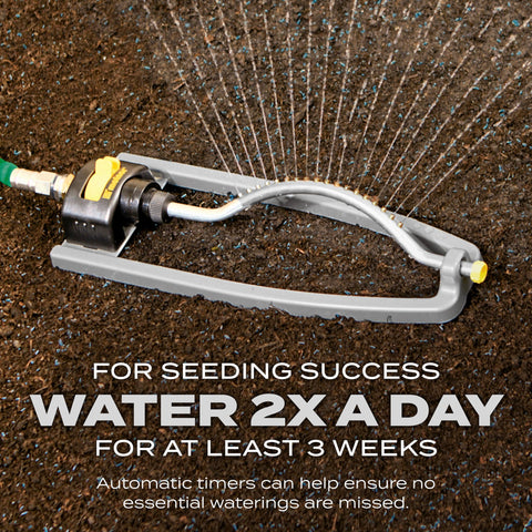 Daily watering to keep soil moist near new seedlings