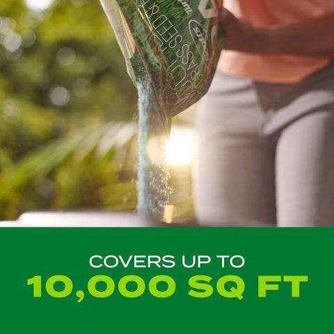 Scotts Turf Builder Rapid Grass-dense-green-turf visual conveys thick, healthy growth