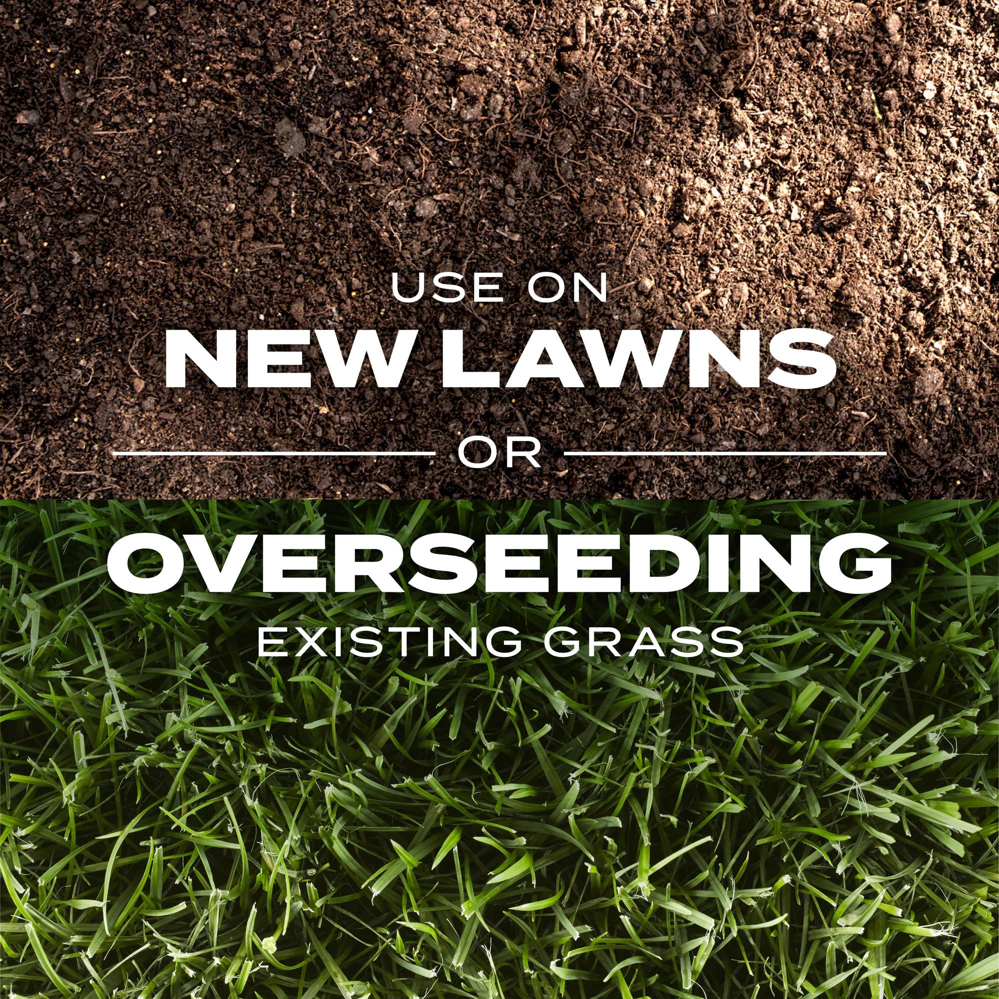 Scotts Turf Builder Rapid Grass Sun and Shade Mix fertilizer action shown.