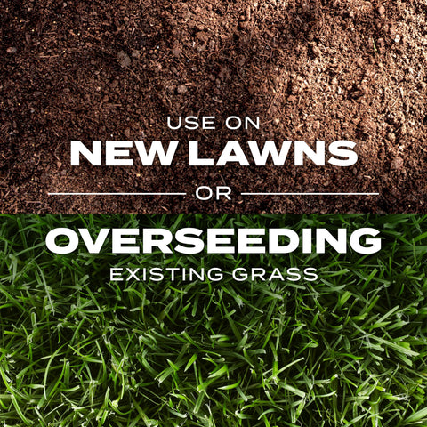 Scotts Turf Builder Rapid Grass bag demonstrates overseeding coverage potential.