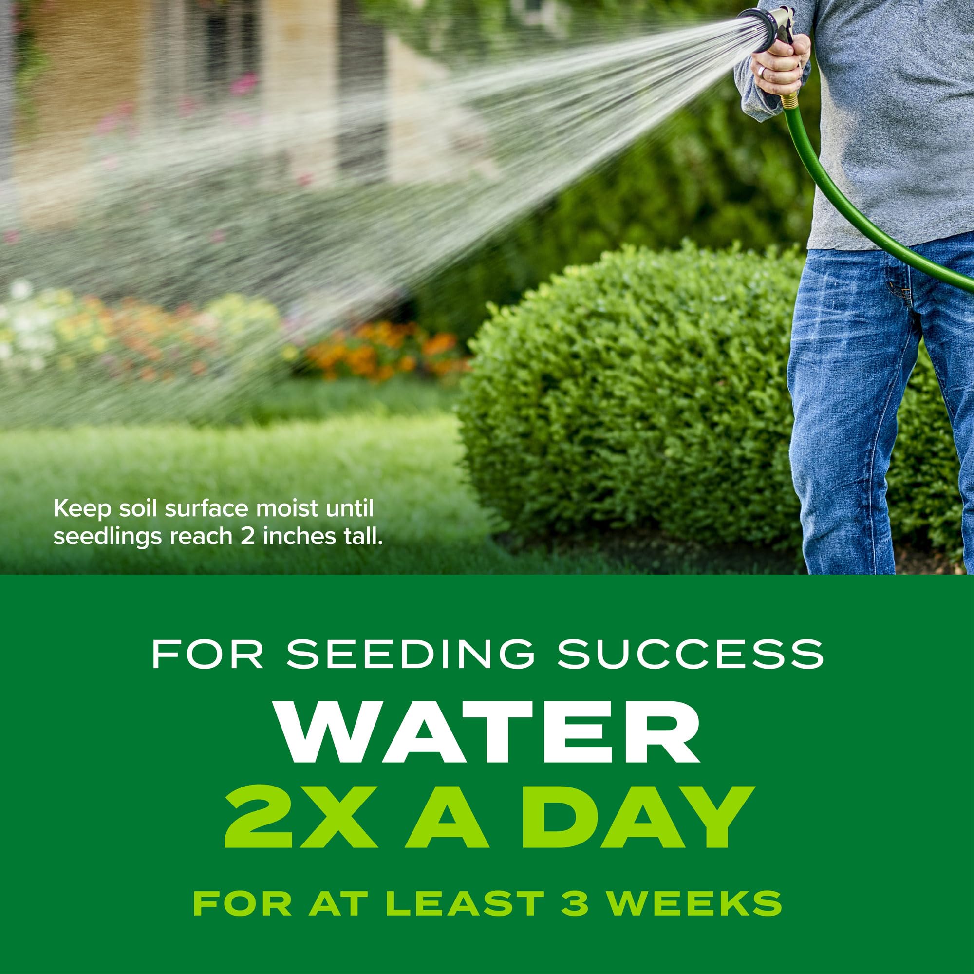 Scotts Turf Builder Rapid Grass Sun and Shade Mix supports fast overseed coverage.