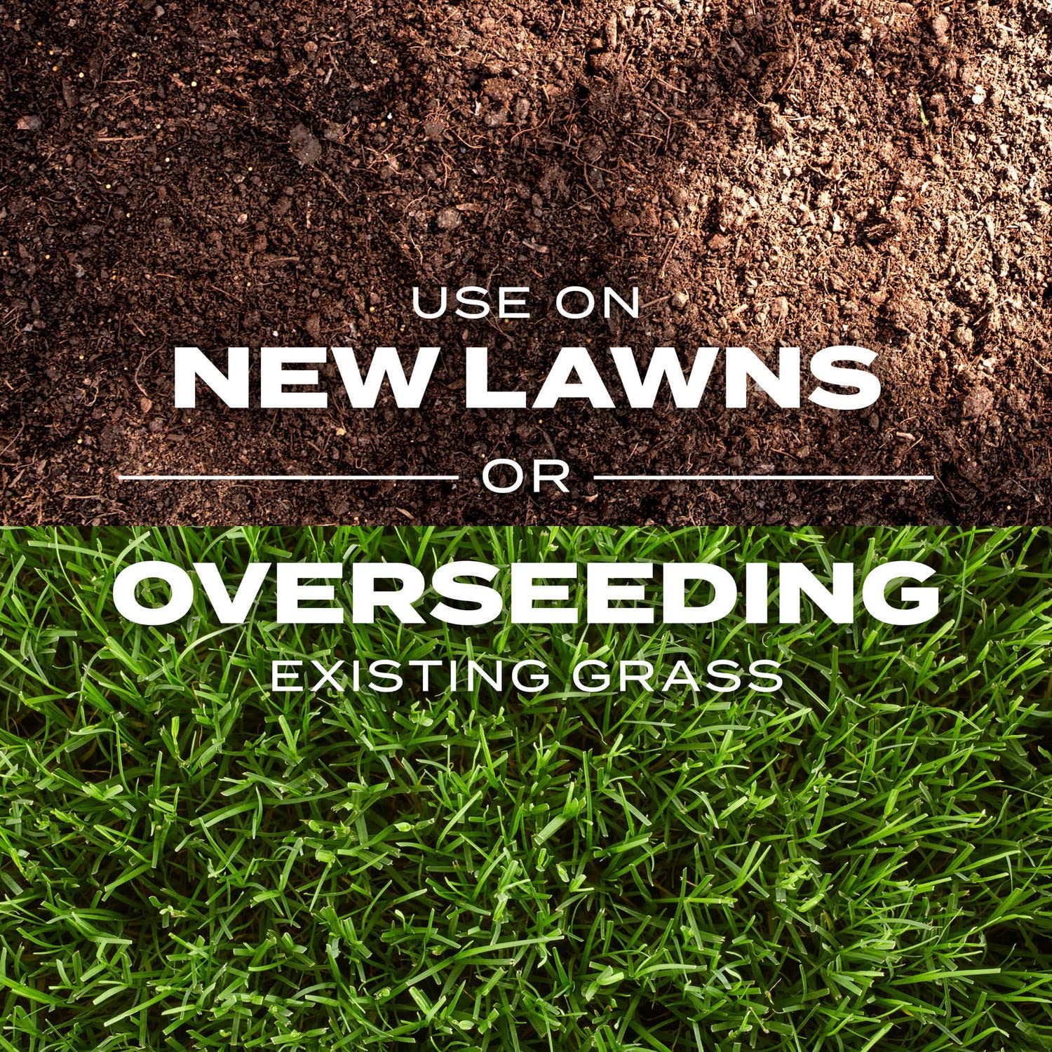 Care tips for maintaining Rapid Grass growth and lawn health.