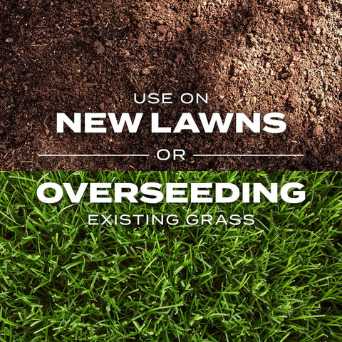 Care tips for maintaining Rapid Grass growth and lawn health.