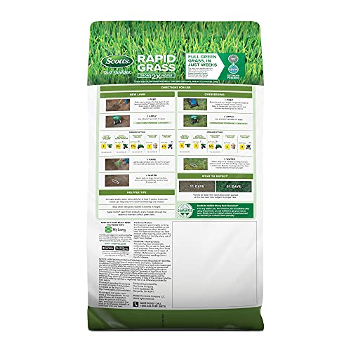 Scotts Turf Builder Rapid Grass seed close-up reveals lush green blades beginning to form.