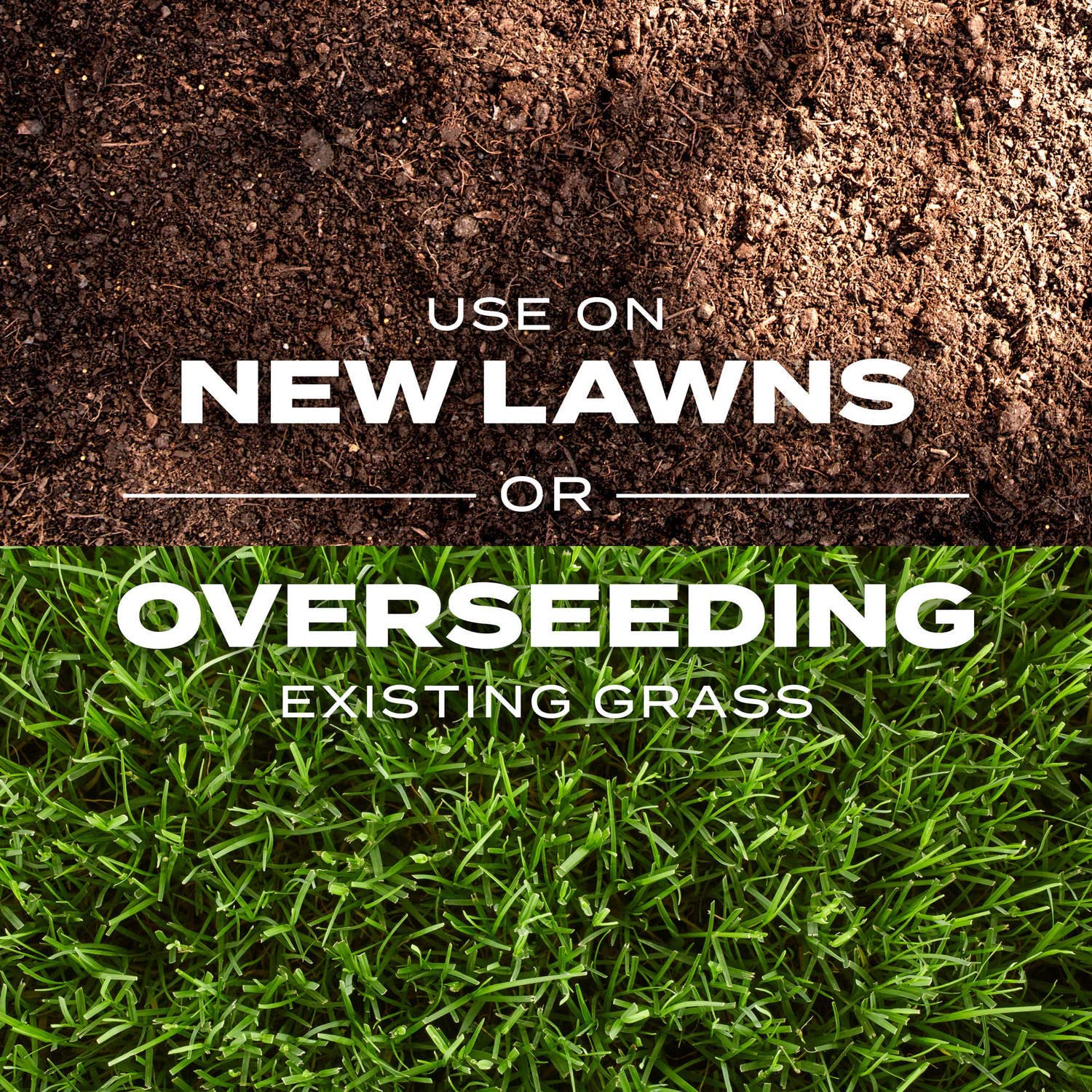 Scotts Turf Builder Rapid Grass-spreader-application demonstrates even distribution