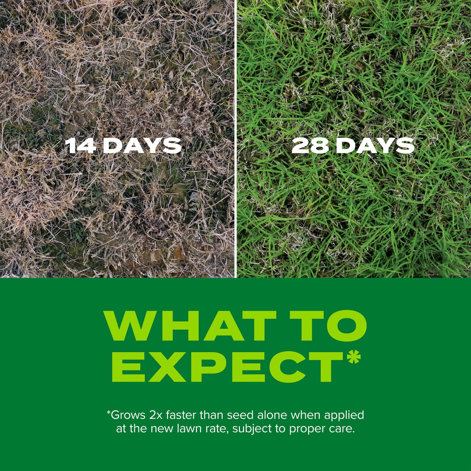 Spring application of Scotts Rapid Grass at 70–90°F conditions.