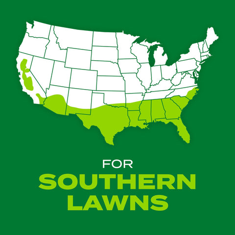 Scotts Turf Builder Rapid Grass-tough-conditions-lawn shows resilient green lawn