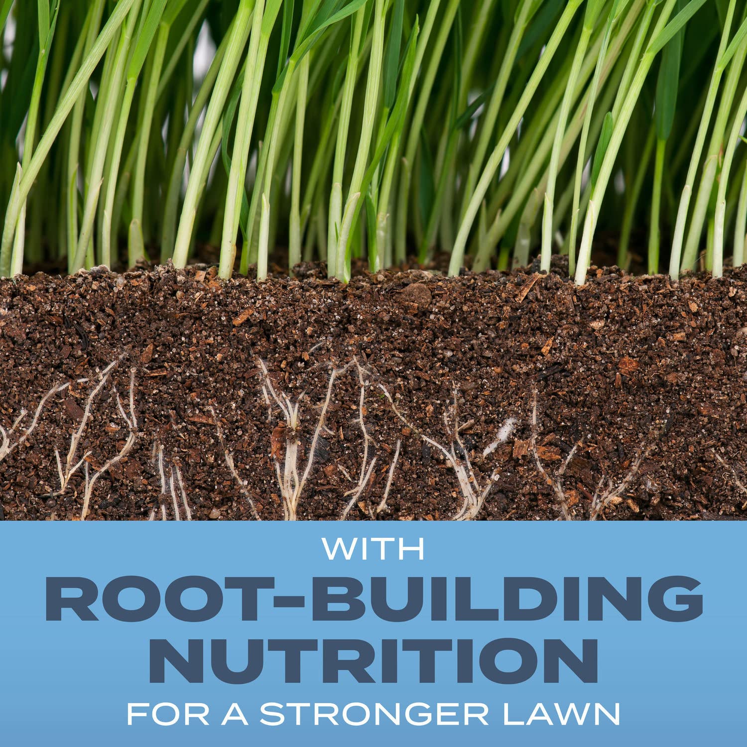 Scotts Turf Builder root-building nutrition visual highlights soil-strengthening benefits