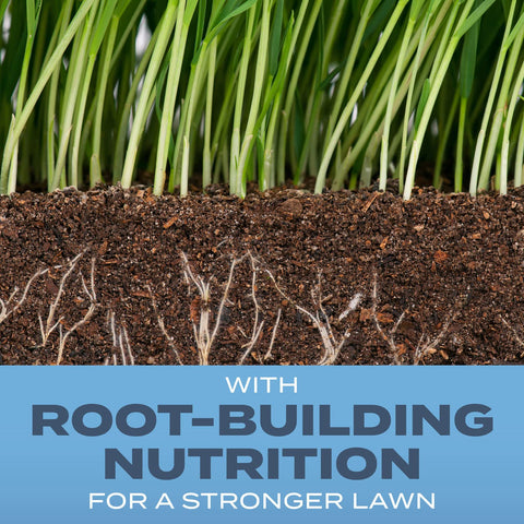 Scotts Turf Builder root-building nutrition visual highlights soil-strengthening benefits