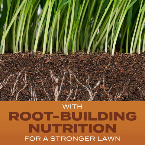 Scotts Turf Builder root-building nutrition concept supports deep roots.