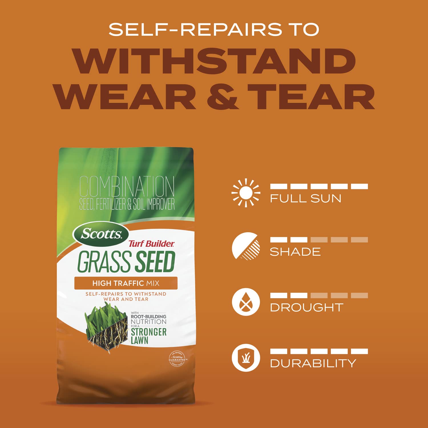Scotts Turf Builder soil moisture guidance for seedling care.
