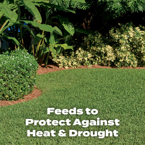 Scotts Turf Builder formula supports deep roots and overall lawn resilience.