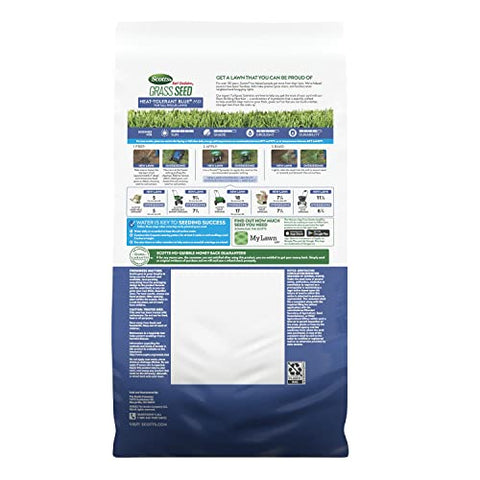 Spring or fall planting guidance for optimal seed establishment.