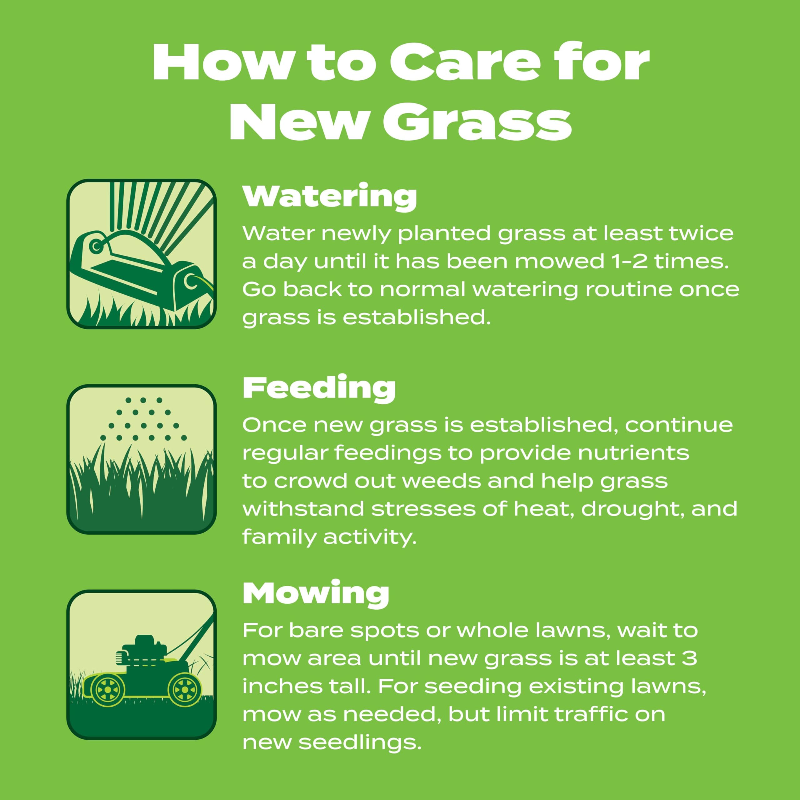Scotts Turf Builder Starter Food first application after seedlings sprout.