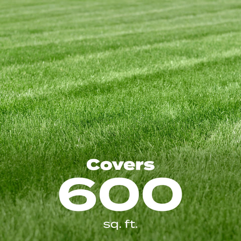 Scotts Turf Builder Starter Food is safe for all grass types.