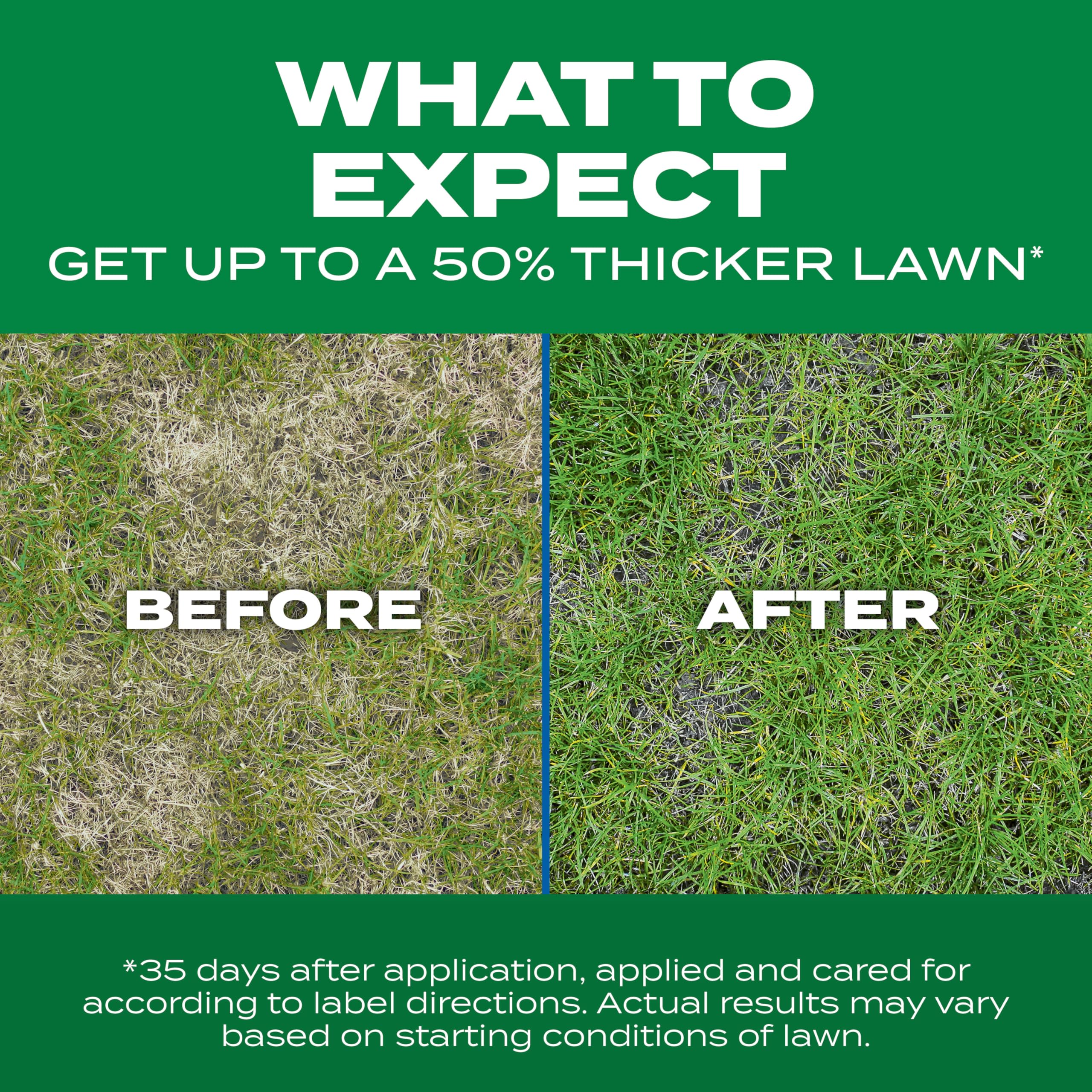 Scotts Turf Builder strong roots promoting deeper root development.
