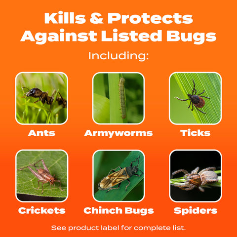 Scotts Turf Builder SummerGuard applying-bug-killer image shows dry-lawn application.