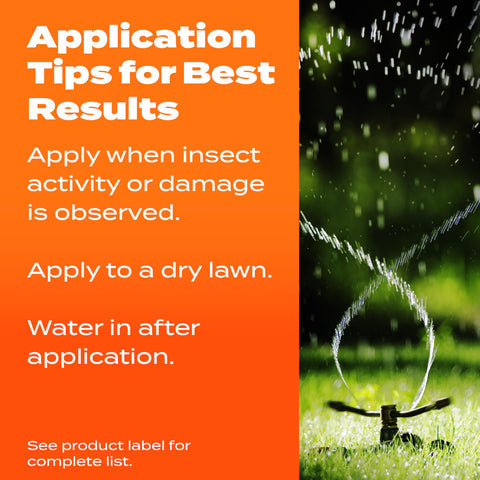 Scotts Turf Builder SummerGuard dry-lawn-use image illustrates summer application timing.