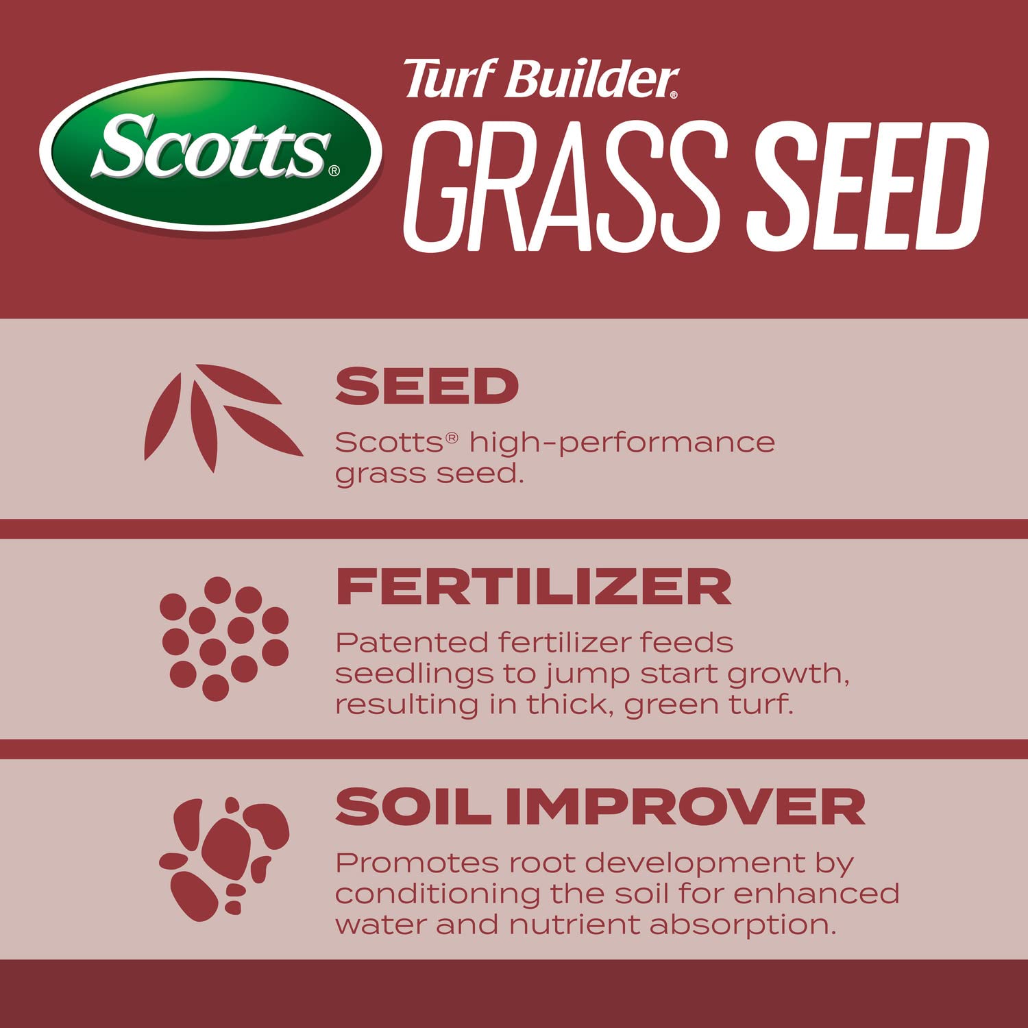 Scotts Turf Builder Sunny Mix seedlings emerging in warm sun.