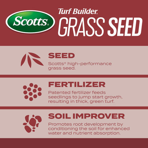 Scotts Turf Builder Sunny Mix seedlings emerging in warm sun.