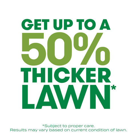Scotts Turf Builder Thick'R Lawn Soil Improver supports deeper roots for resilient grass.
