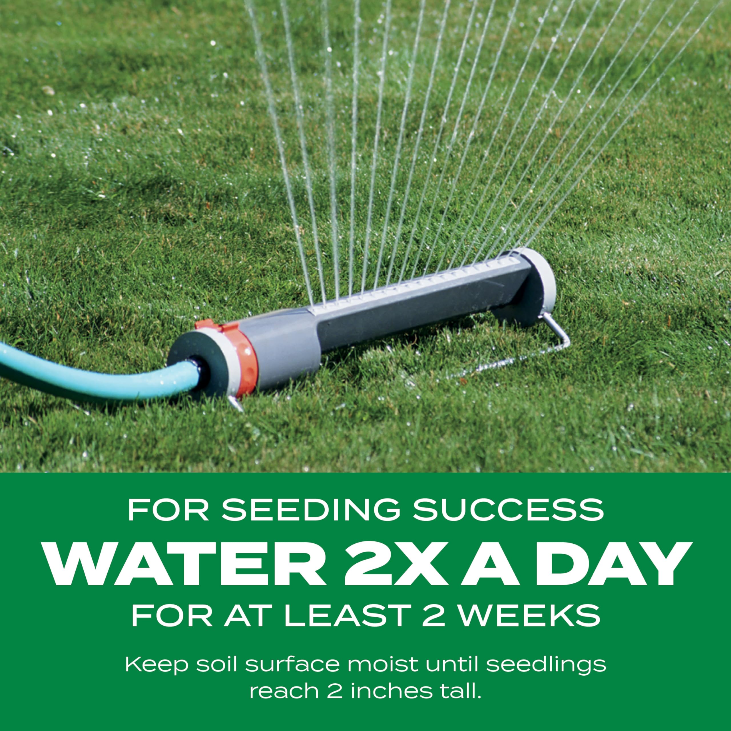 Scotts 12 lb bag provides a practical lawn repair option.