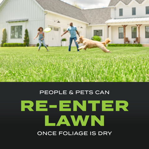Coverage up to 4,000 square feet per 20 lb bag.