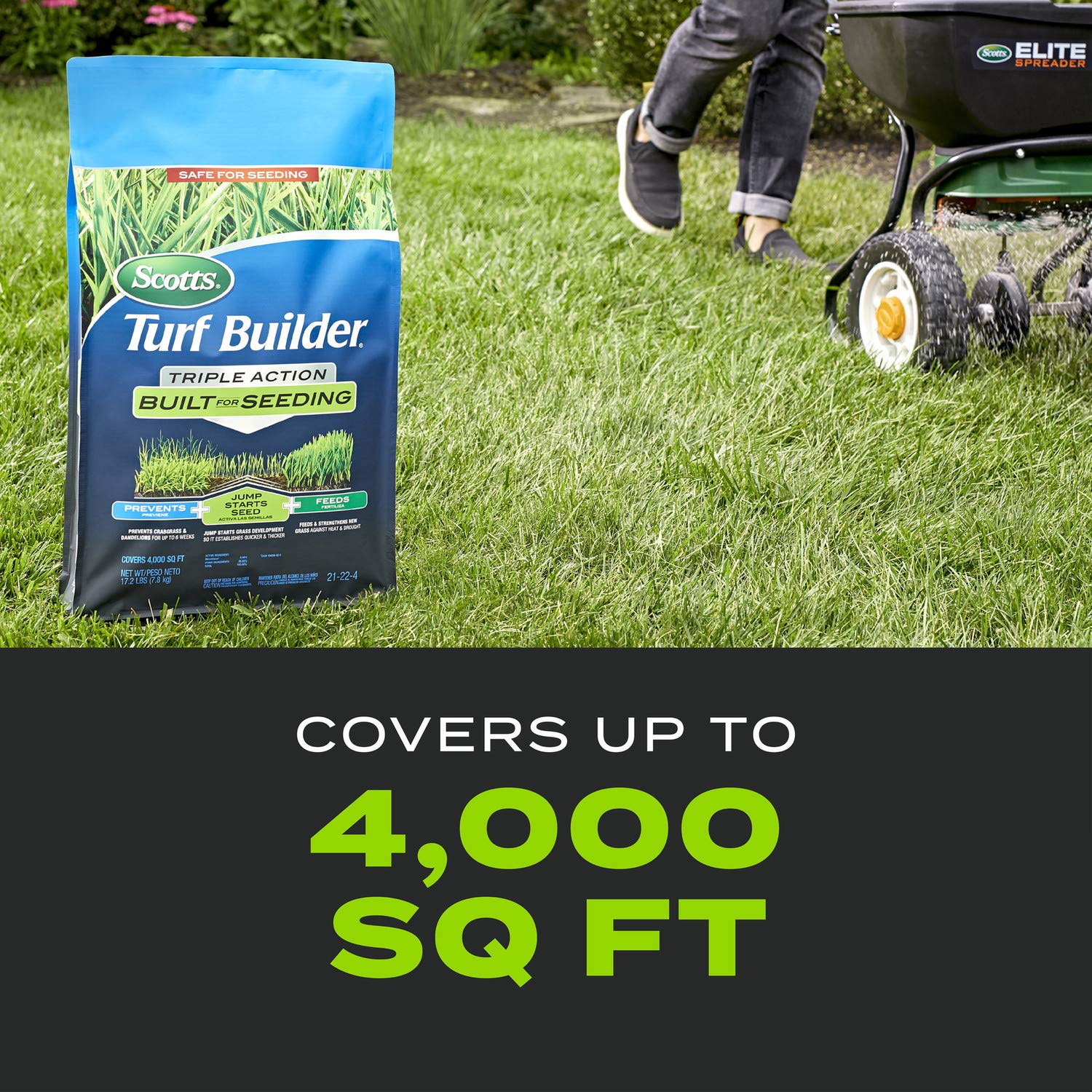 Scotts Turf Builder Triple Action promotes thick, healthy seedling growth