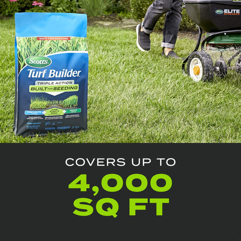 Scotts Turf Builder Triple Action promotes thick, healthy seedling growth