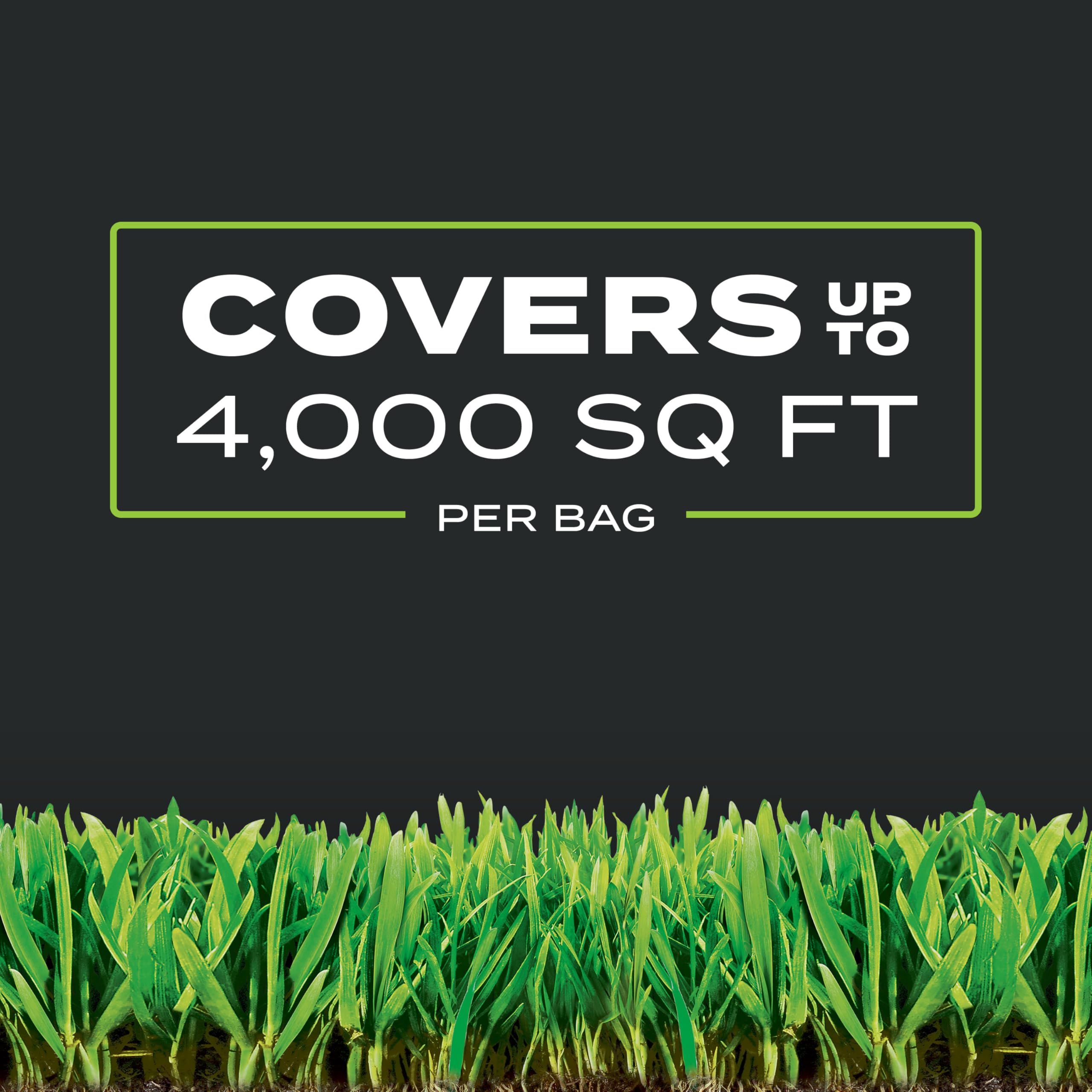 Winter or spring application targets actively growing moss.