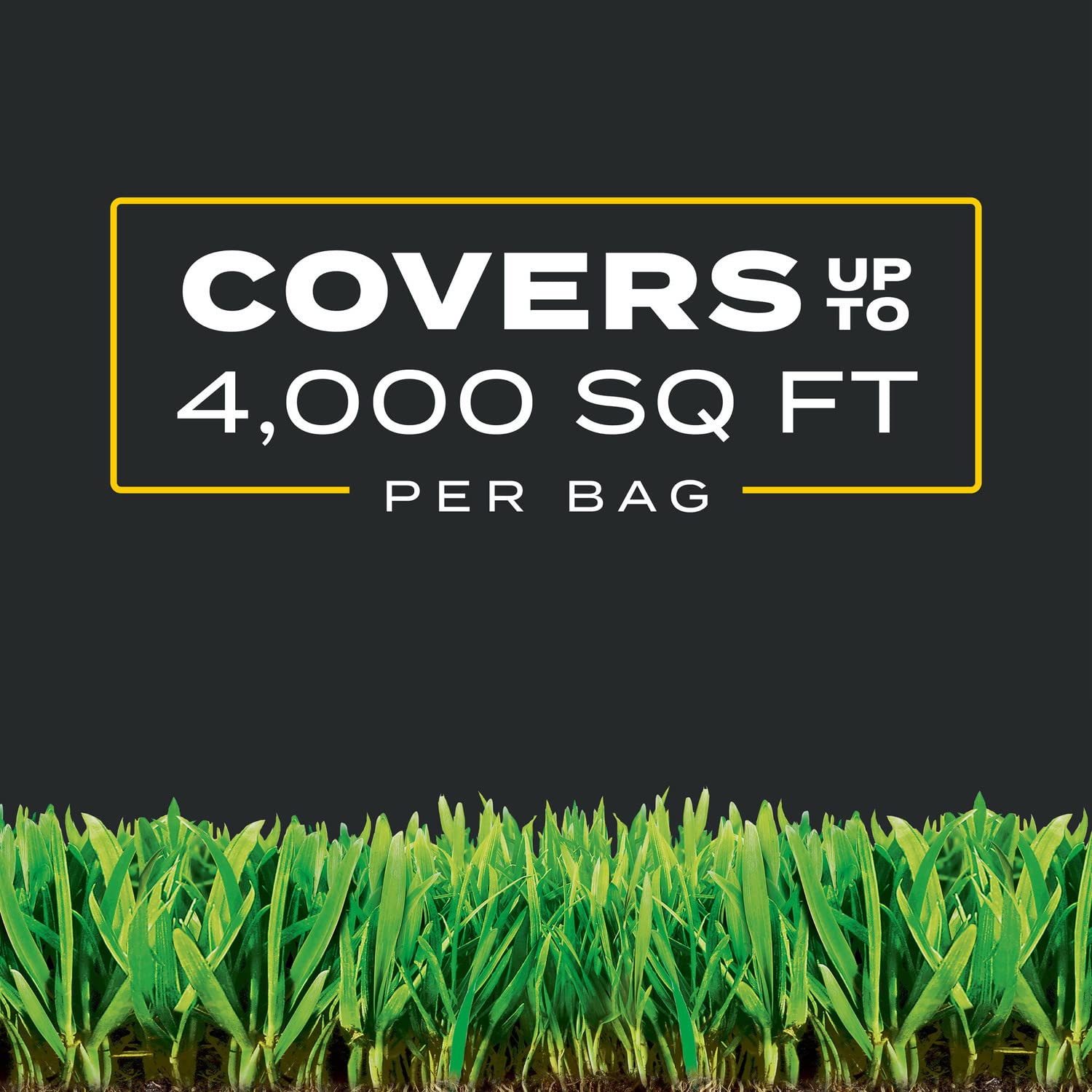 Scotts Turf Builder Triple Action1 coverage up to 4,000 sq ft per bag