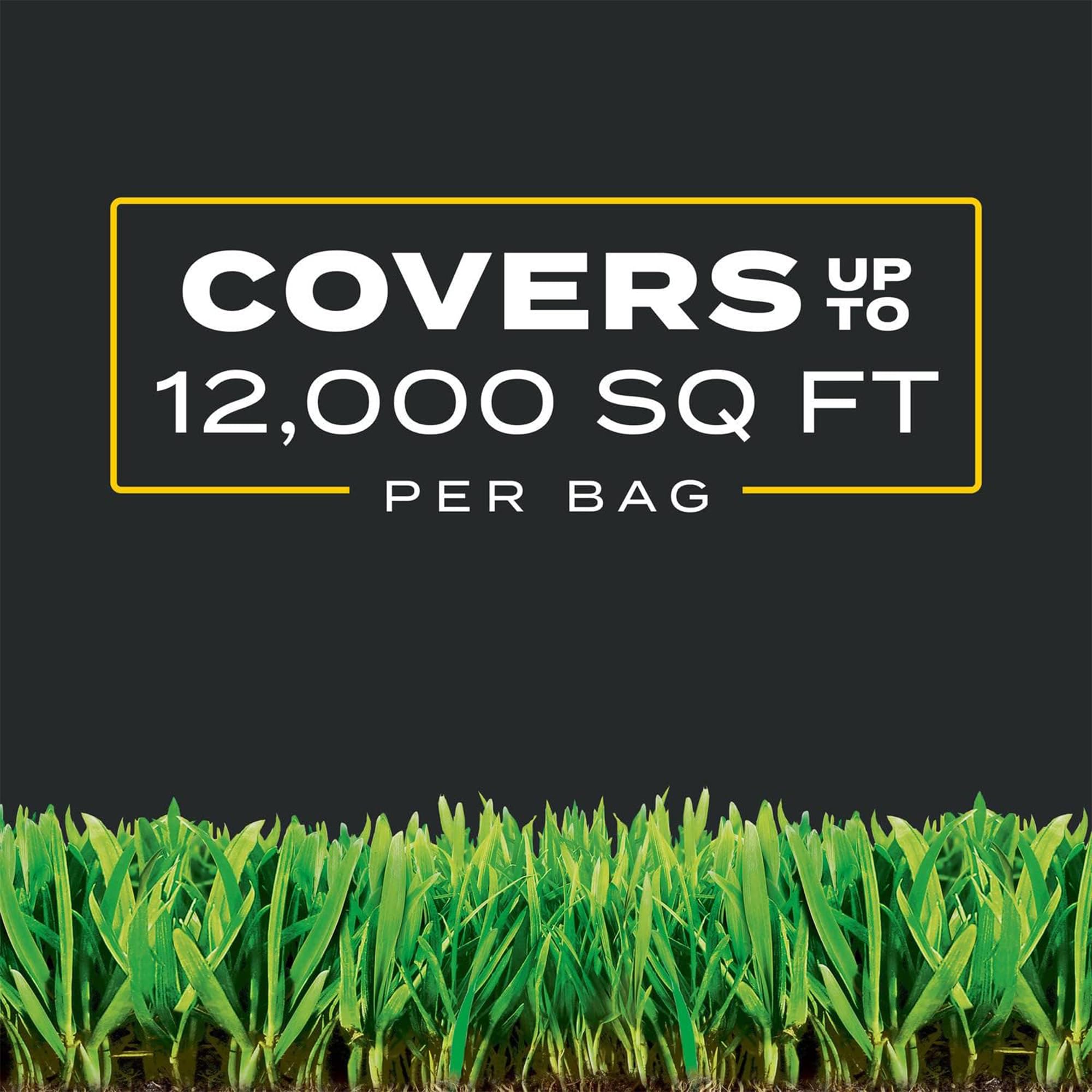 Scotts Turf Builder Triple Action1 helps control broadleaf weeds like dandelions.