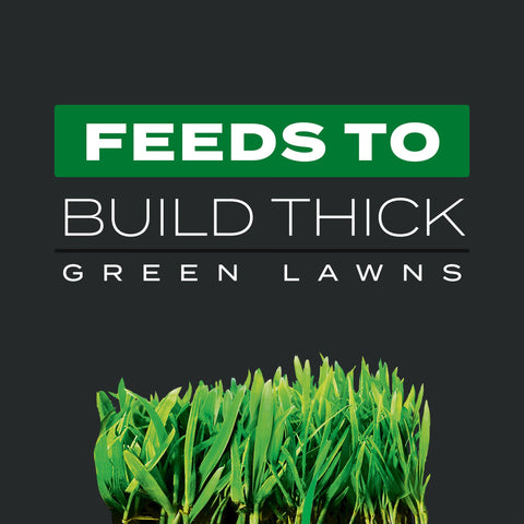 Scotts Turf Builder Triple Action1 fertilizer granules feeding your lawn