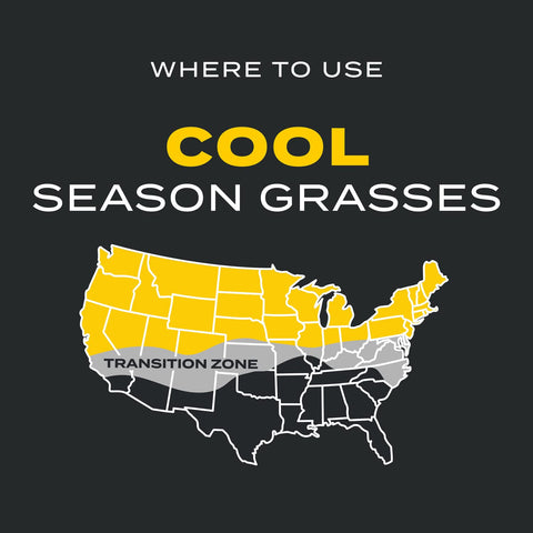 Scotts Turf Builder Triple Action1 works on Kentucky bluegrass, fescue and more