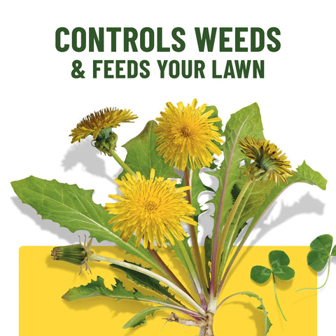 Weeds like dandelions and clover targeted by Scotts.