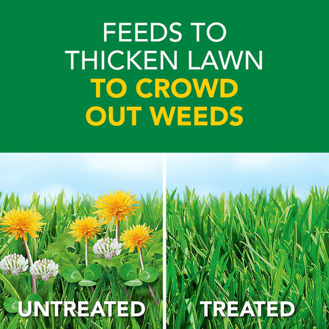 Scotts Turf Builder Weed & Feed3 in action on lawn shows weed killing and thickening