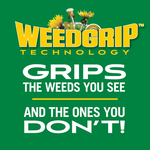 Scotts Turf Builder Weed & Feed3 weather guide hints at best 60–90°F window