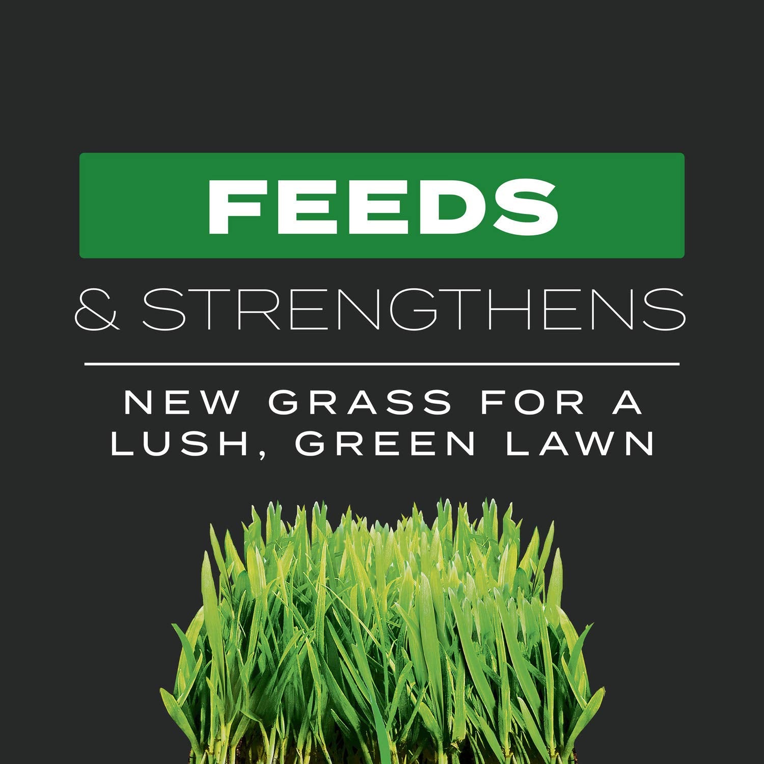 Scotts Turf Builder weed-prevention image shows dandelion and crabgrass suppression for weeks.