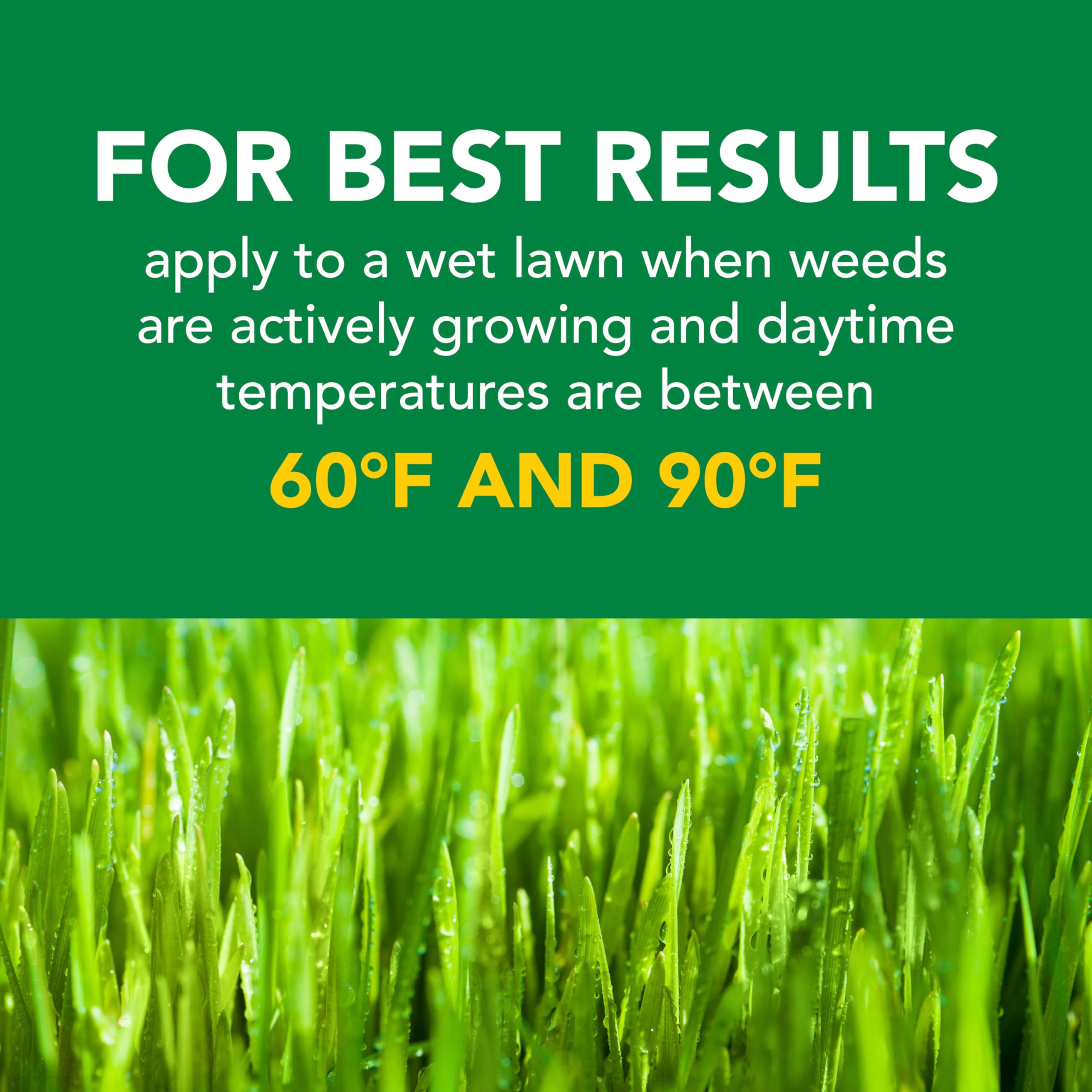 Scotts Turf Builder wet-lawn-activation demonstrates how dew or watering helps product adhere.