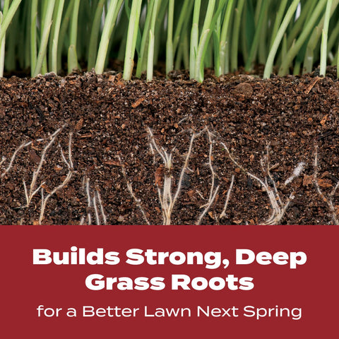 Scotts spreader-ready application for fall nutrient delivery.