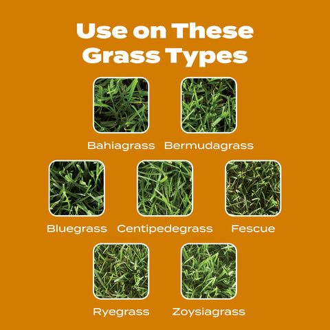 Zoysiagrass lawn benefiting from Fall Weed & Feed5 fertilizer and weed control.