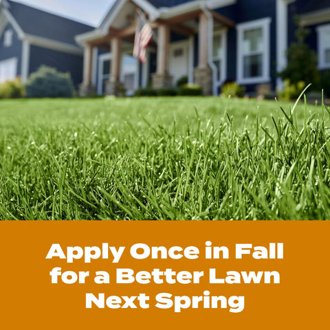 Fall lawn care routine with WinterGuard Weed & Feed5 for next spring readiness.