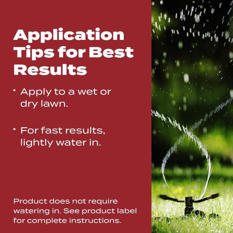 Apply to wet or dry lawns for convenient fall care.