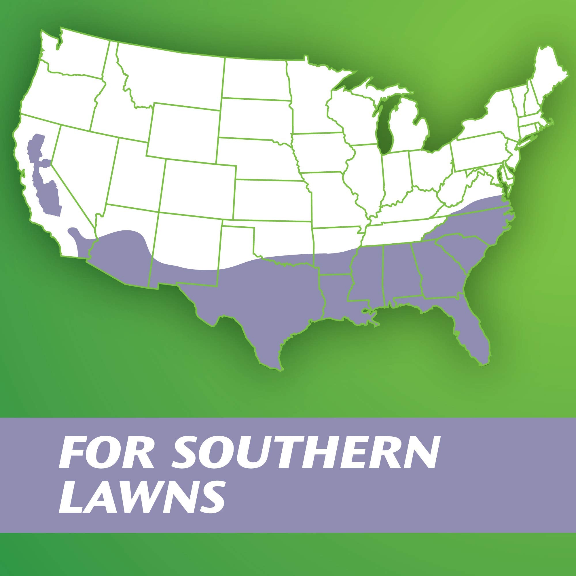 Scotts Turf Builder Zoysia seed and mulch demonstrating drought and heat tolerance.