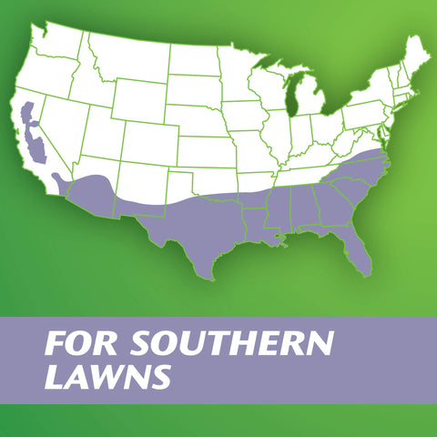 Scotts Turf Builder Zoysia seed and mulch demonstrating drought and heat tolerance.