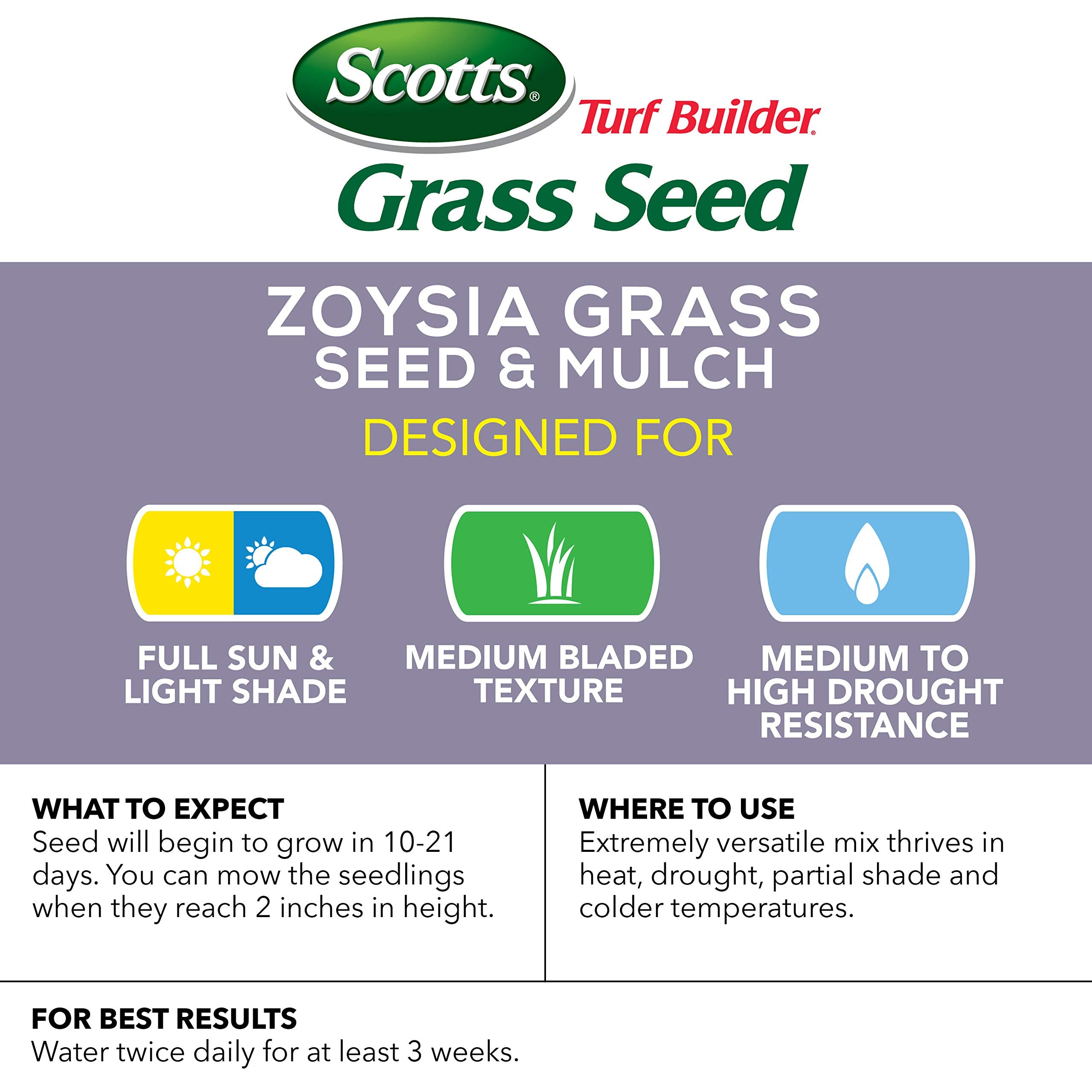 Scotts Turf Builder Zoysia seed and mulch in sunny partial shade for robust growth.