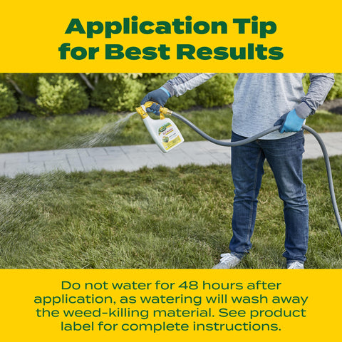 Scotts two-pack liquid turf builder bottles for ongoing care.