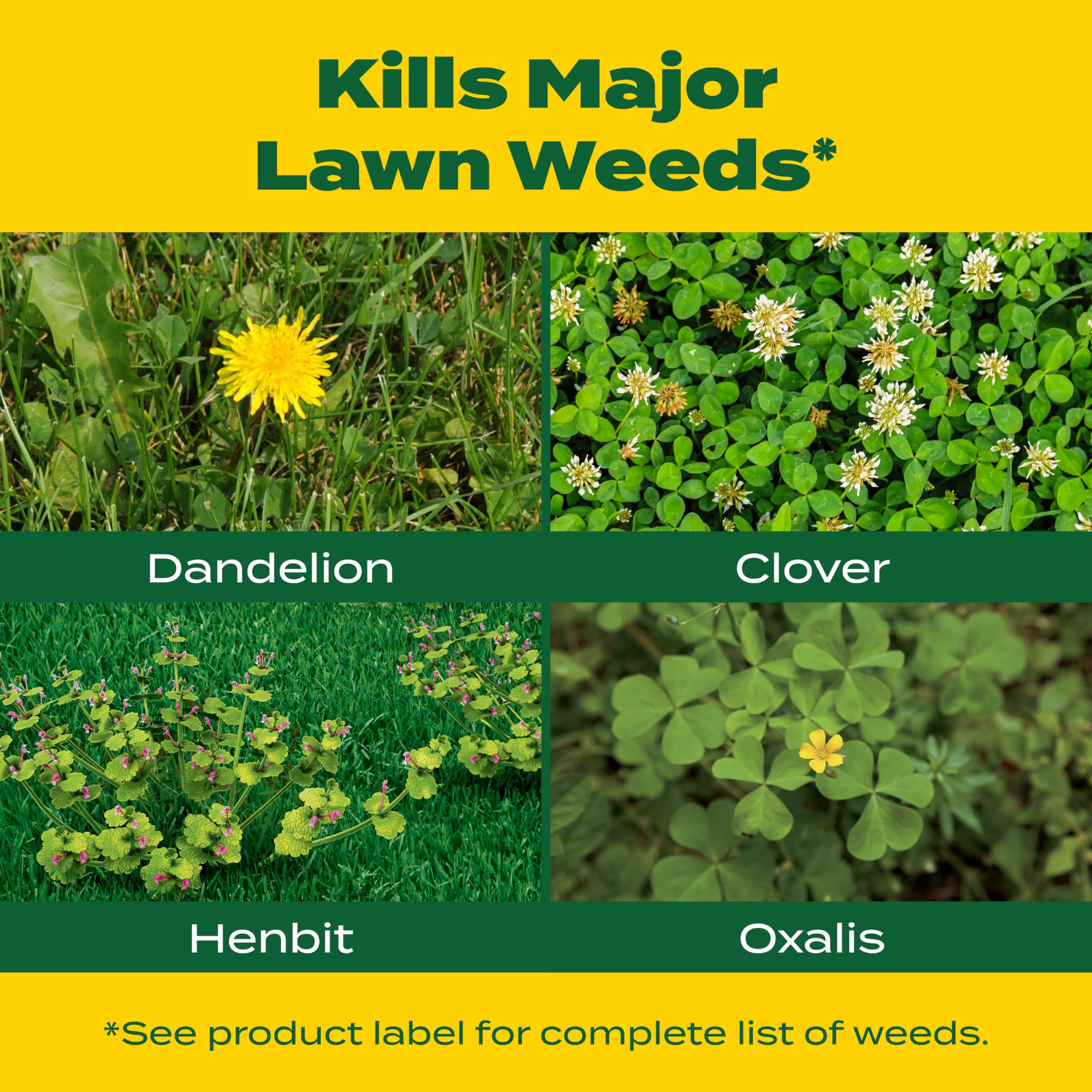 Scotts weed killer targets oxalis and broadleaf weeds.