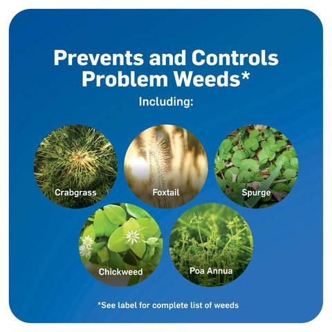 Application scene of Scotts WeedEx Prevent with Halts being spread on a dry lawn