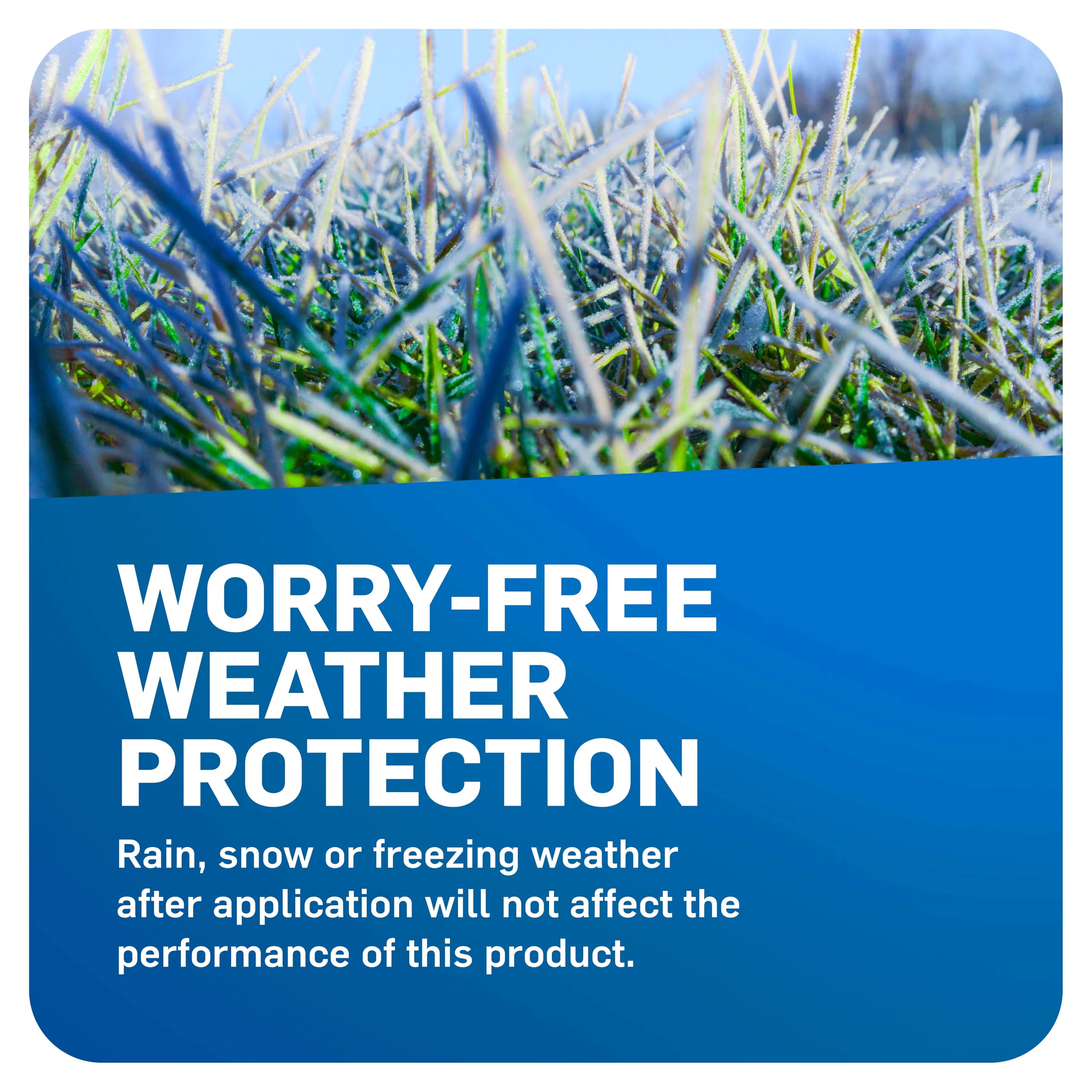 Scotts WeedEx Prevent with Halts preventing crabgrass in a home lawn